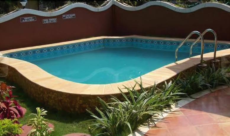 Imagen de la piscina del Hotel Renzo's Inn. Foto 17