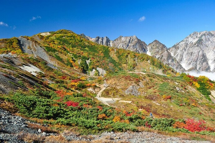 Imagen general del Hotel Reposer Hakuba. Foto 4