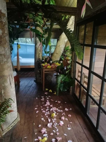 Imagen de la habitación del Hotel Reserva Natural Natura Park. Foto 3