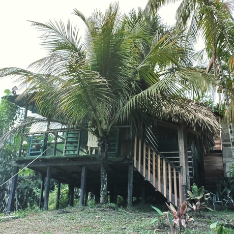 Imagen de la habitación del Hotel Reserva Natural Natura Park. Foto 6