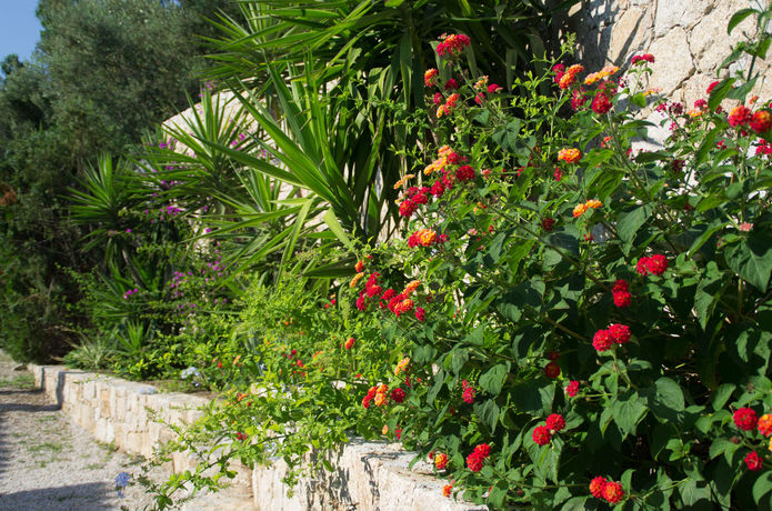 Imagen de los exteriores del Hotel Residence Benista. Foto 7