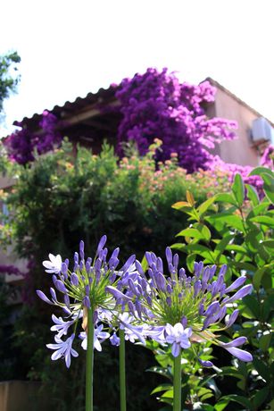 Imagen de los exteriores del Hotel Residence Benista. Foto 12