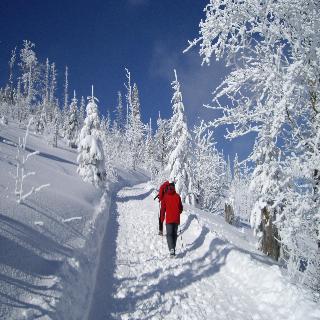 Imagen general del Hotel Residence Hochriegel. Foto 12