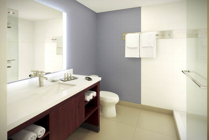 Imagen de la habitación del Hotel Residence Inn Atlanta Ne/duluth Sugarloaf. Foto 5