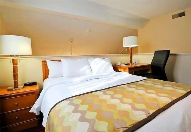 Imagen de la habitación del Hotel Residence Inn By Marriott Detroit Troy/madison Heights. Foto 10