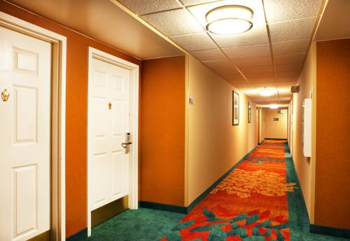 Imagen de la habitación del Hotel Residence Inn - Greenbelt By Marriott. Foto 9