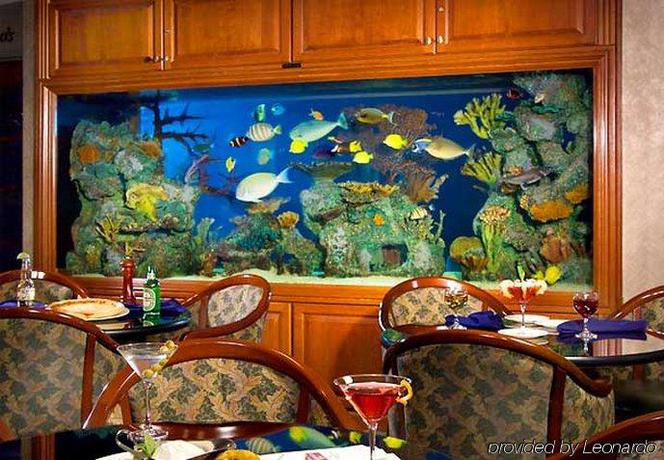 Imagen del bar/restaurante del Hotel Residence Inn Plainview Long Island. Foto 10