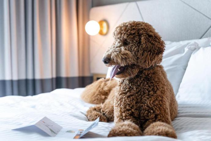 Imagen general del Hotel Residence Inn Slough. Foto 6