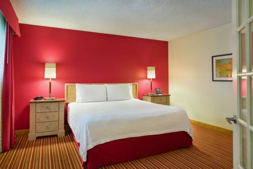 Imagen de la habitación del Hotel Residence Inn St. Petersburg Clearwater. Foto 11