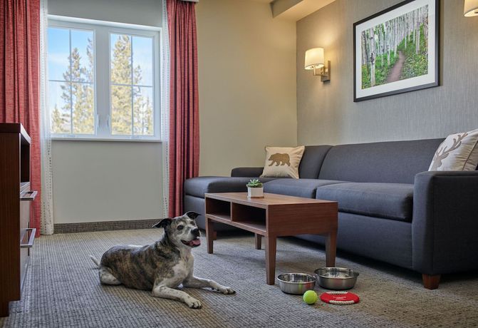 Imagen de la habitación del Hotel Residence Inn by Marriott Breckenridge. Foto 8