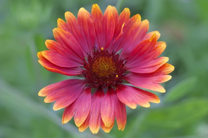 Imagen general del Hotel Residence La Rosa. Foto 7