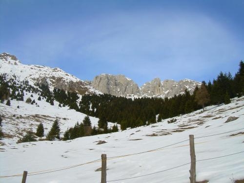 Imagen general del Hotel Residence La Rosa. Foto 13