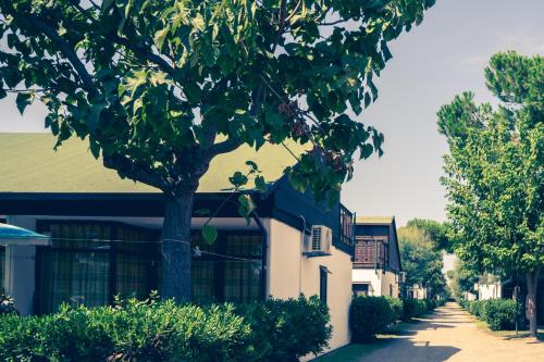 Imagen general del Hotel Residence Mare Pineta. Foto 2