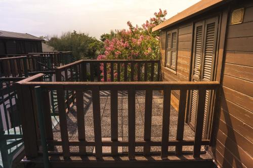 Imagen general del Hotel Residence Mare Pineta. Foto 5