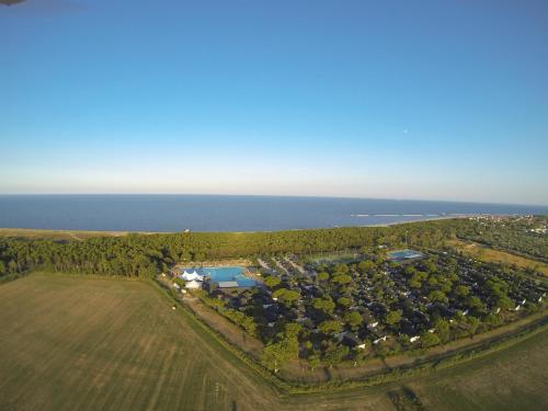 Imagen general del Hotel Residence Mare Pineta. Foto 8