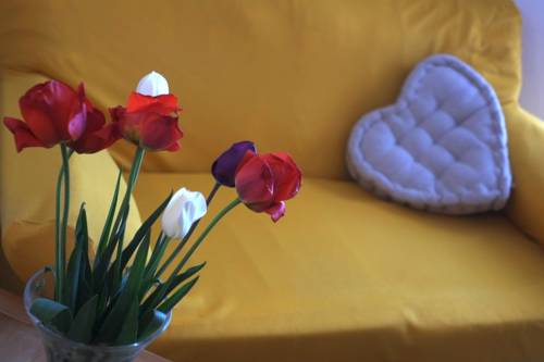 Imagen de la habitación del Hotel Residence Miramonti. Foto 10