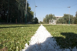 Imagen de los exteriores del Hotel Residence Poggio Delle Ginestre. Foto 7