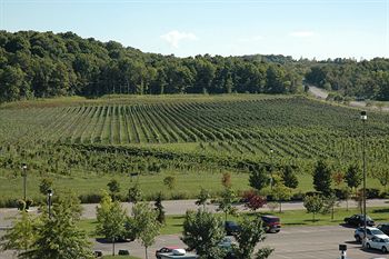 Imagen general del Hotel Residence and Conference Centre - Niagara-on-the-lake. Foto 8