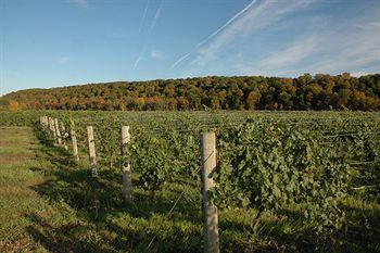 Imagen general del Hotel Residence and Conference Centre - Niagara-on-the-lake. Foto 9