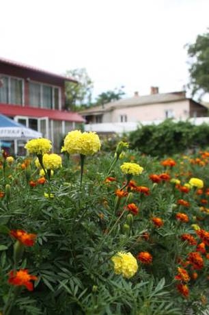 Imagen general del Hotel Residence of Doctor Zaharov. Foto 3