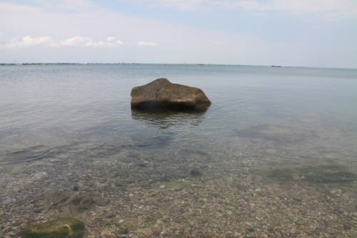 Imagen general del Hotel Residence of Doctor Zaharov. Foto 54