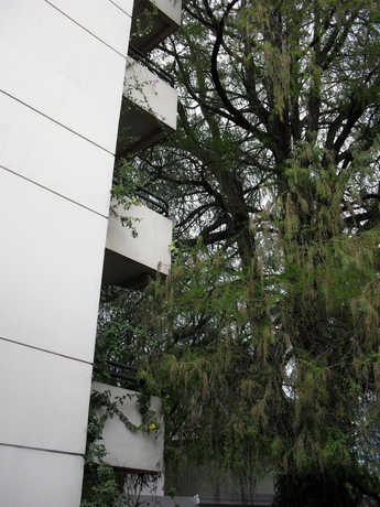 Imagen de los exteriores del Hotel Residencia Del Sol. Foto 8