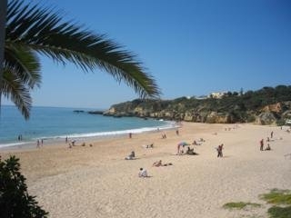 Imagen de los exteriores del Hotel Residencial Pifaro. Foto 4