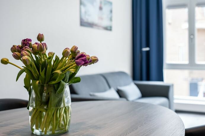 Imagen general del Hotel Residentie Vlissingen. Foto 9