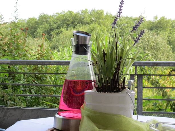 Imagen de la habitación del Hotel Residenz Am Festspielhaus. Foto 5