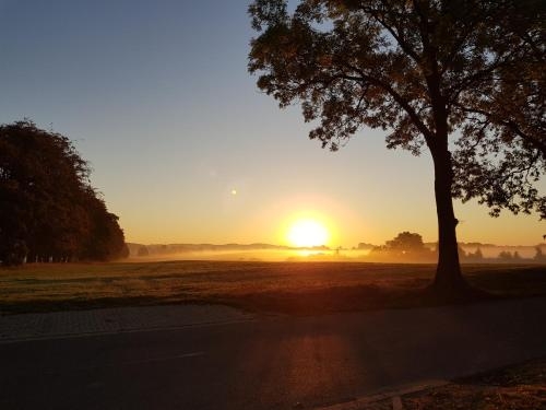 Imagen general del Hotel Residenz Seeblick. Foto 3