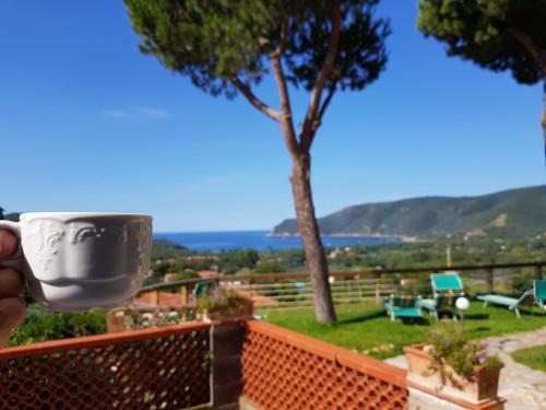 Imagen general del Hotel Residenza Mini - RTA e Appartamenti Vacanza. Foto 5