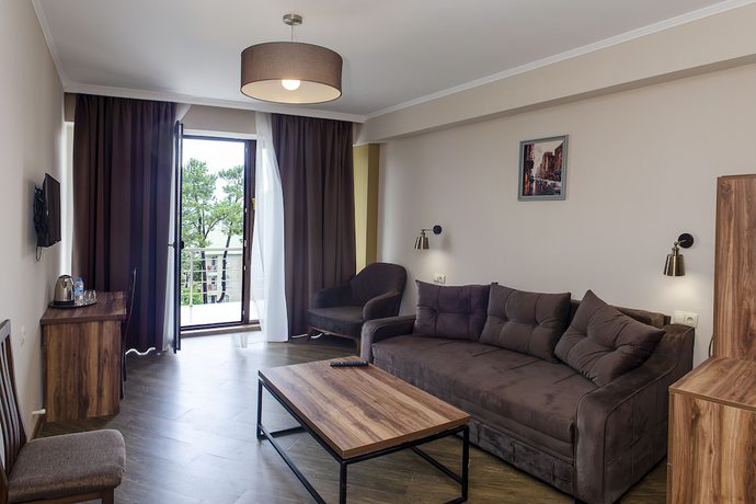 Imagen de la habitación del Hotel Resolute Shekvetili. Foto 6