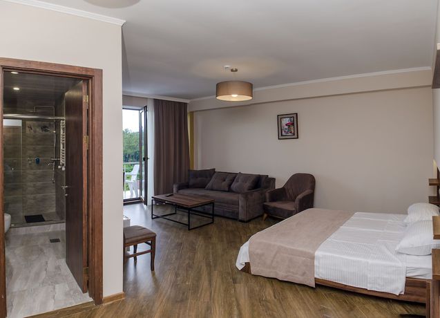 Imagen de la habitación del Hotel Resolute Shekvetili. Foto 11