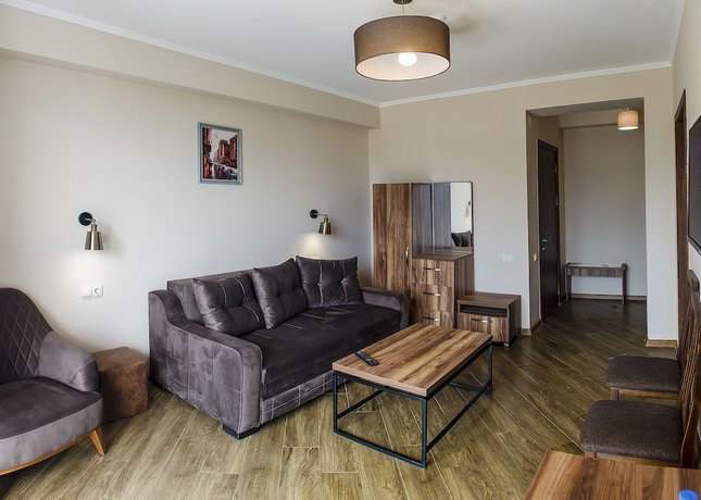 Imagen de la habitación del Hotel Resolute Shekvetili. Foto 13