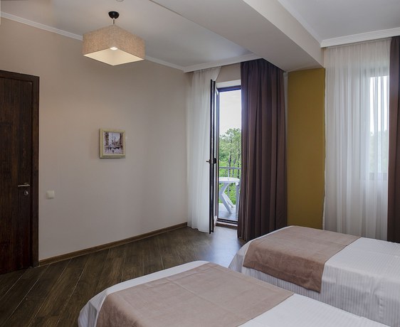 Imagen de la habitación del Hotel Resolute Shekvetili. Foto 14