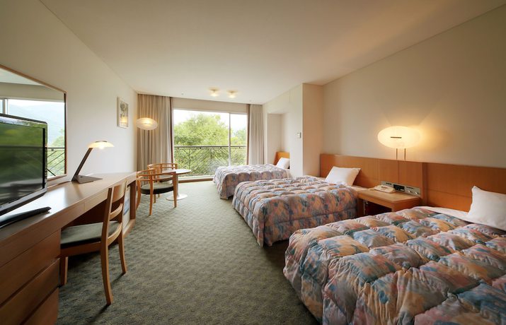 Imagen de la habitación del Hotel Resort Hotel Olivean Shodoshima. Foto 12