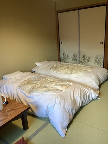 Imagen de la habitación del Hotel Resort Inn Seikan. Foto 19