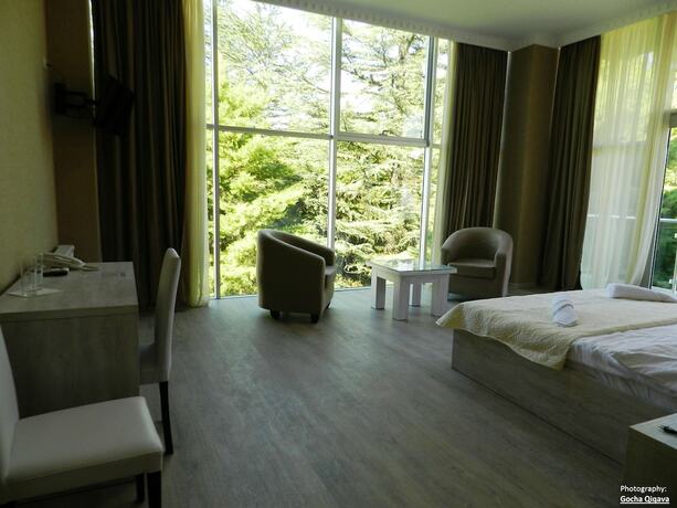 Imagen de la habitación del Hotel Resort Martvili. Foto 14