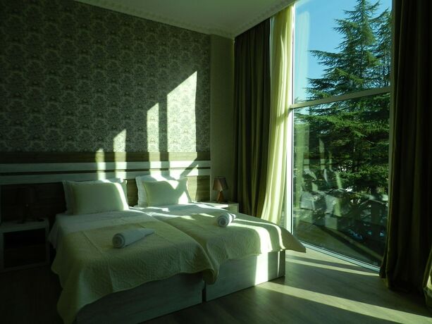 Imagen de la habitación del Hotel Resort Martvili. Foto 16