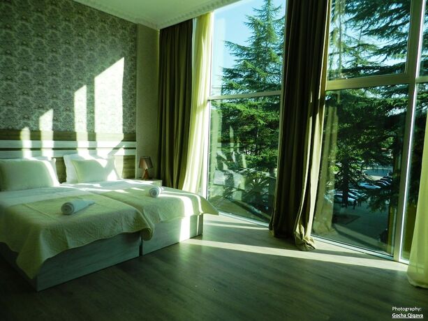 Imagen de la habitación del Hotel Resort Martvili. Foto 17