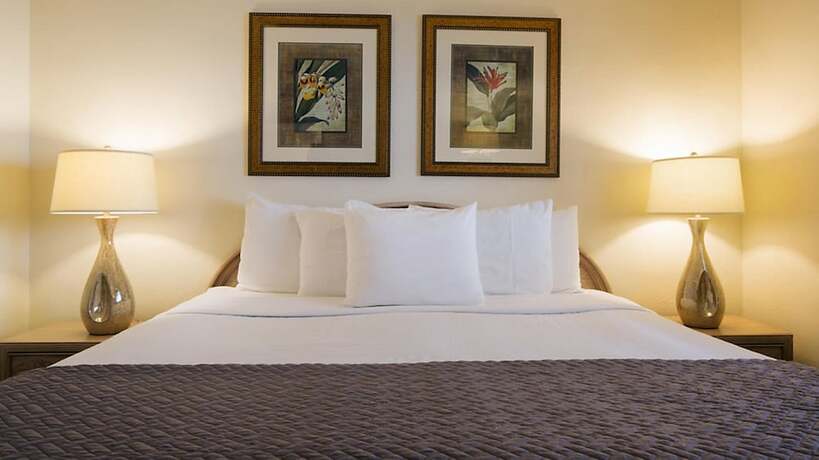 Imagen de la habitación del Hotel Resort Sixty-Six. Foto 16