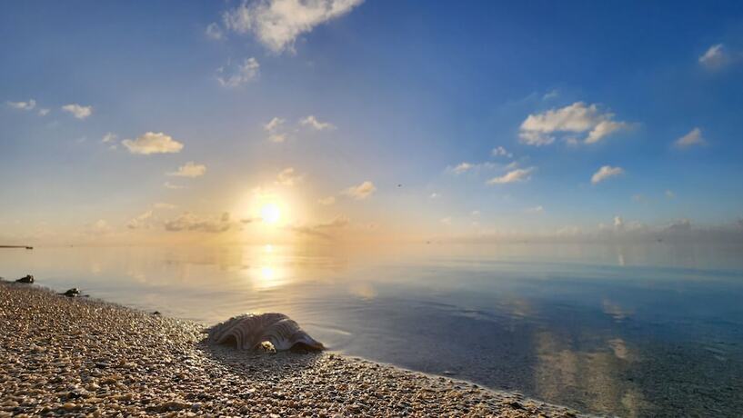 Imagen general del Hotel Resort Tava\'e. Foto 8