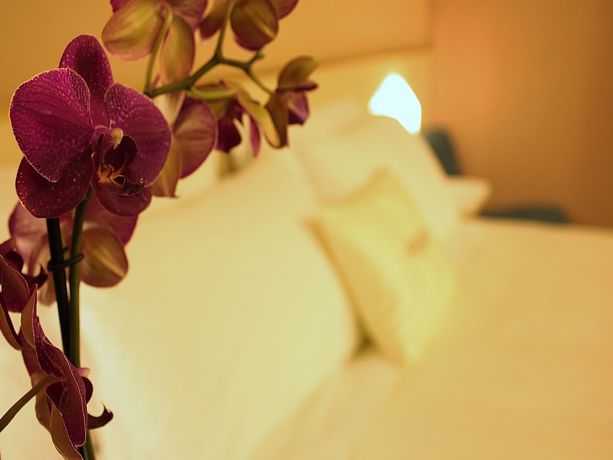 Imagen de la piscina del Hotel Resort Villa. Foto 15