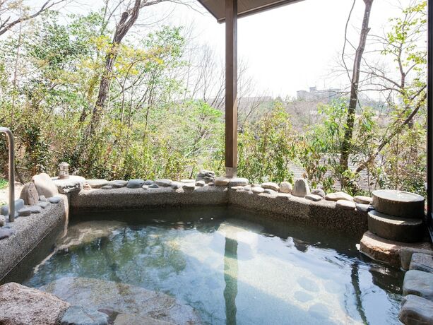 Imagen general del Hotel Resort inn Yunogo. Foto 6