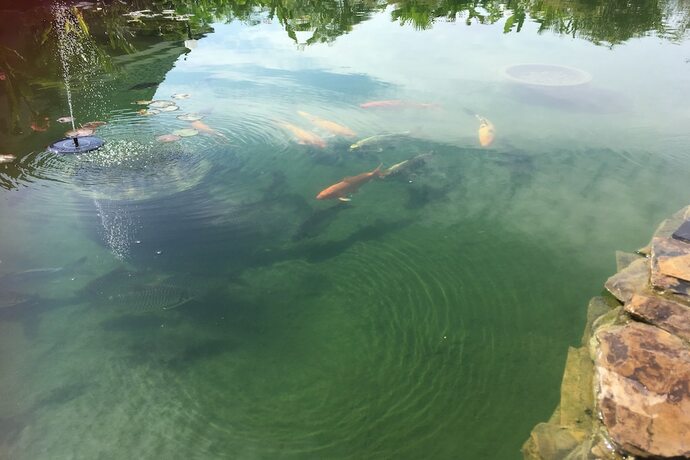 Imagen de la piscina del Hotel Resotel Baan Sanook. Foto 16