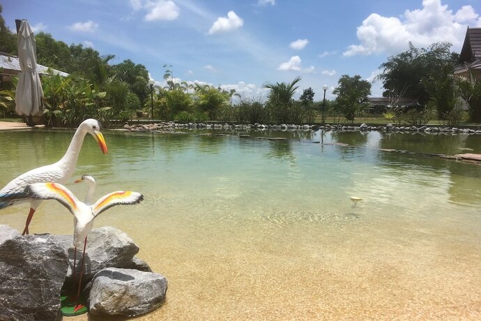 Imagen de la piscina del Hotel Resotel Baan Sanook. Foto 17
