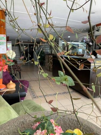 Imagen general del Hotel Restaurant 1904. Foto 3