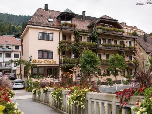 Imagen general del Hotel Restaurant Alte Linde. Foto 5