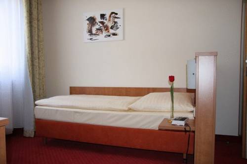 Imagen de la habitación del Hotel Restaurant Alter Hof. Foto 16