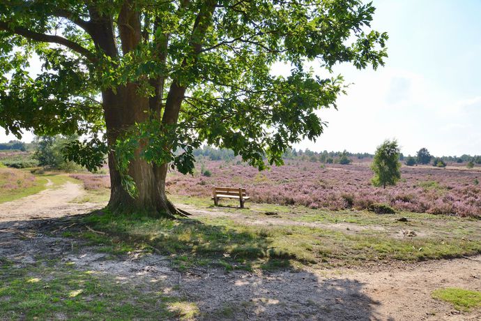 Imagen general del Hotel Restaurant De Uitkijk. Foto 3